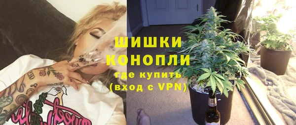 сатива Киреевск