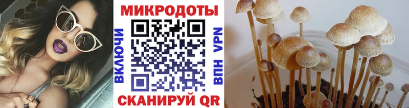 Псилоцибиновые грибы прущие грибы Купить закладки Зарайск